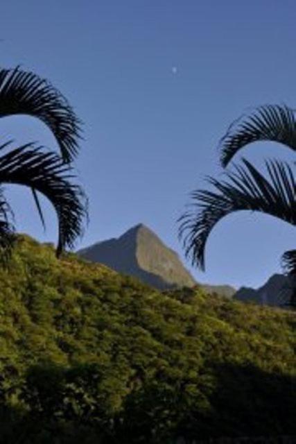 Отель Le Relais De La Maroto Pirae Экстерьер фото