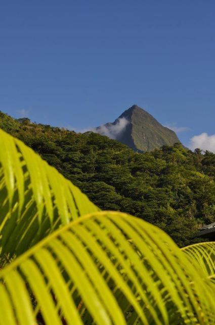 Отель Le Relais De La Maroto Pirae Экстерьер фото