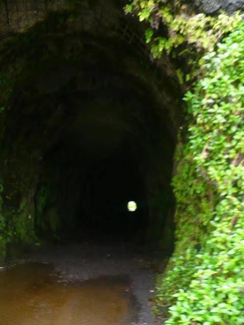 Отель Le Relais De La Maroto Pirae Экстерьер фото